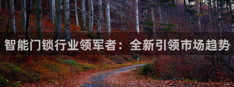 富联娱乐注册住判官333OO：智能门锁行业领军者：全新引领市