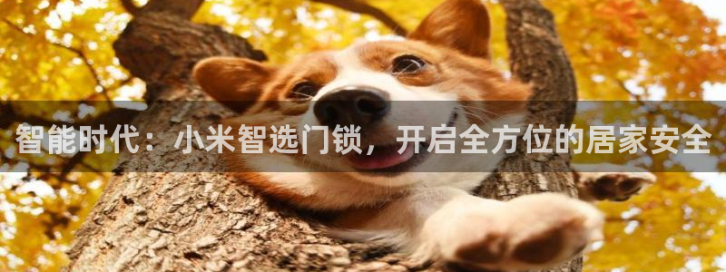 富联娱乐主管审判官333OO：智能时代：小米智选门锁，开启全