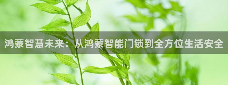 富联娱乐注册21192：鸿蒙智慧未来：从鸿蒙智能门锁到全方位