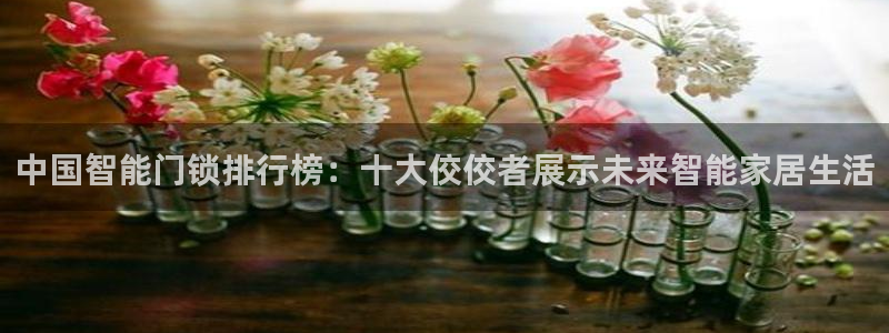 富联娱乐下载官网网址：中国智能门锁排行榜：十大佼佼者展示未来