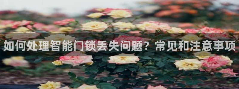 富联娱乐总裁简介资料大全：如何处理智能门锁丢失问题？常见和注
