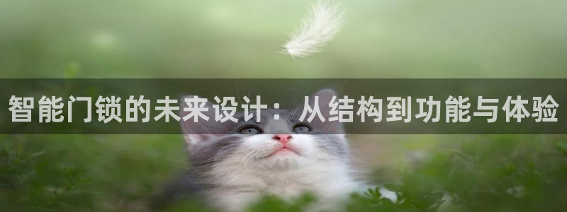 富联娱乐账号注册要钱吗：智能门锁的未来设计：从结构到功能与体