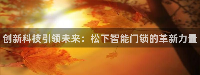 富联娱乐平台怎么样知乎：创新科技引领未来：松下智能门锁的革新
