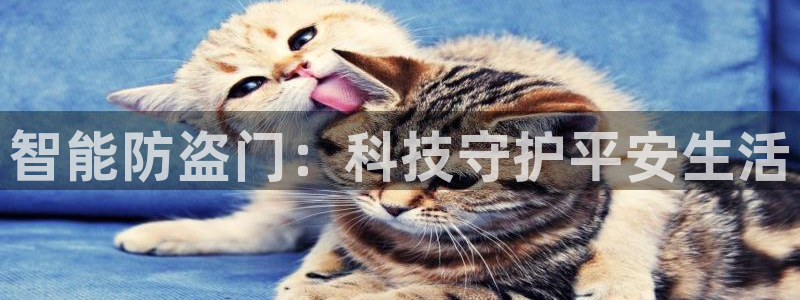 佰富联娱乐团购：智能防盗门：科技守护平安生活