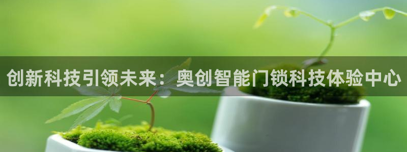 富联娱乐贴吧最新消息：创新科技引领未来：奥创智能门锁科技体验