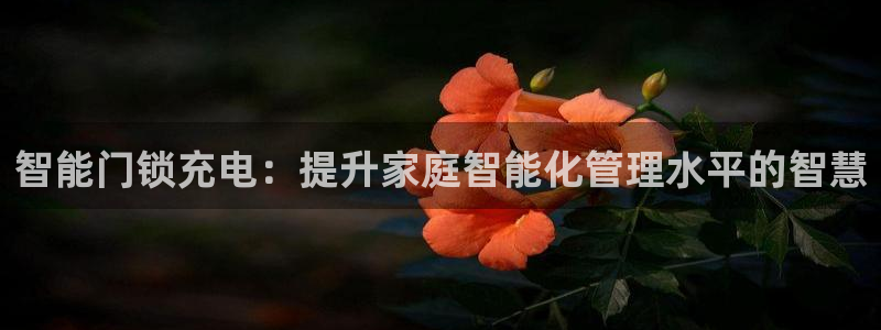 富联娱乐客户端：智能门锁充电：提升家庭智能化管理水平的智慧