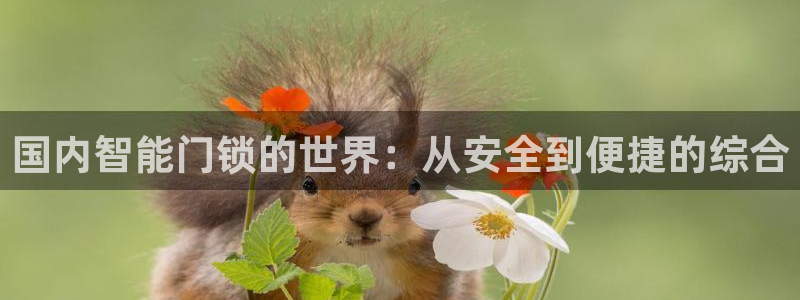 富联娱乐注册目判官333OO：国内智能门锁的世界：从安全到便