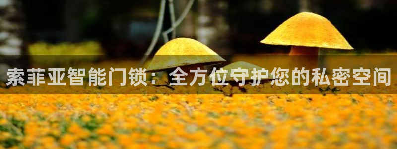富联娱乐于六七五一38：索菲亚智能门锁：全方位守护您的私密空