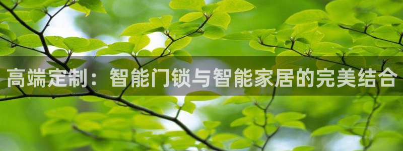 富联娱乐元歌：高端定制：智能门锁与智能家居的完美结合