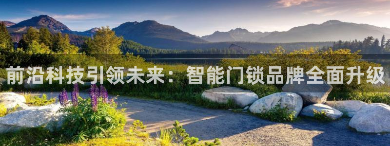 富联娱乐平台登录不了了：前沿科技引领未来：智能门锁品牌全面升