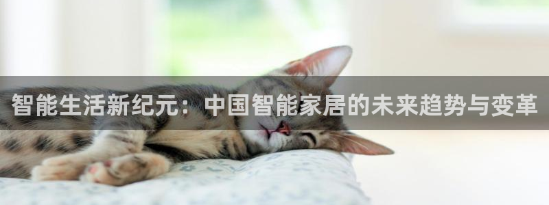 富联娱乐开户费用多少钱：智能生活新纪元：中国智能家居的未来趋