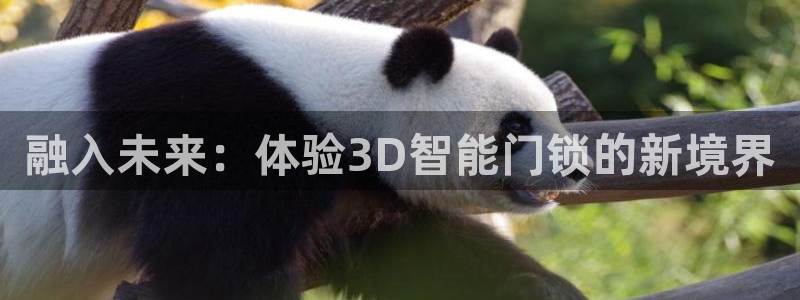 富联娱乐元哥是谁的老婆：融入未来：体验3D智能门锁的新境界