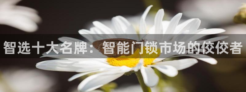 富联娱乐QQ：智选十大名牌：智能门锁市场的佼佼者