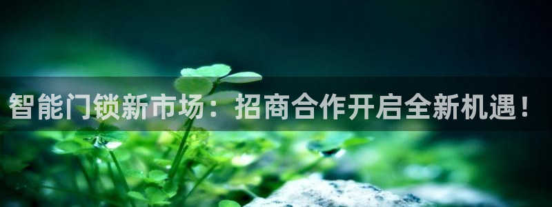 富联娱乐app官方下载最新版：智能门锁新市场：招商合作开启全