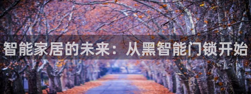 富联娱乐招商地判官333OO：智能家居的未来：从黑智能门锁开