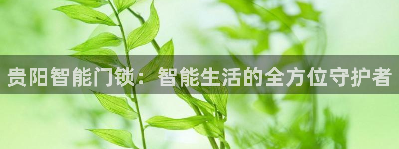 富联娱乐测速登录：贵阳智能门锁：智能生活的全方位守护者