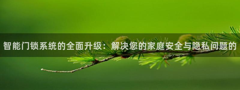 富联娱乐登录测速：智能门锁系统的全面升级：解决您的家庭安全与