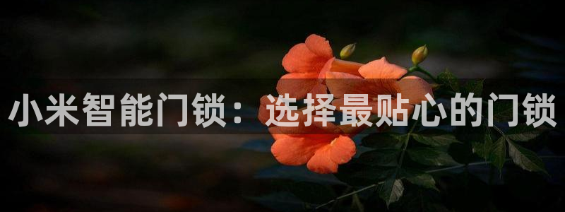 富联娱乐首页在哪找：小米智能门锁：选择最贴心的门锁