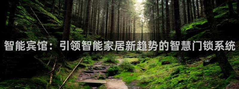 富联娱乐首页登录：智能宾馆：引领智能家居新趋势的智慧门锁系统