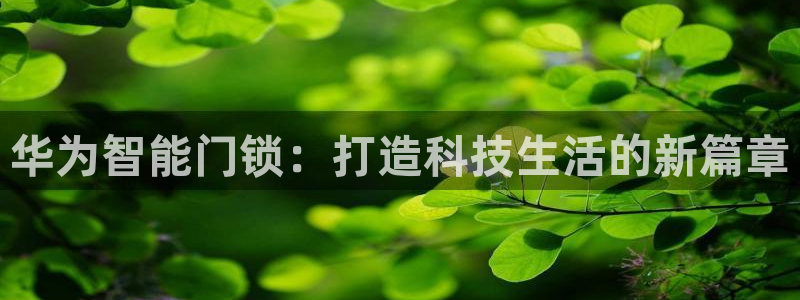 富联2娱乐登录：华为智能门锁：打造科技生活的新篇章
