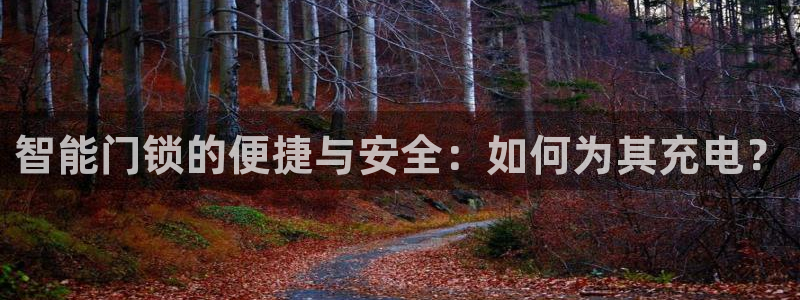 富联娱乐主管右原判官333OO：智能门锁的便捷与安全：如何为