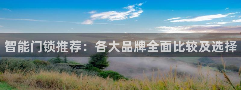 富联娱乐招商测判官333OO：智能门锁推荐：各大品牌全面比较