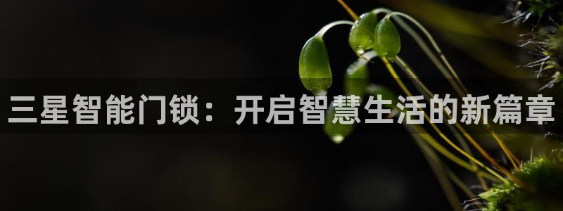 富联娱乐官网下载地址：三星智能门锁：开启智慧生活的新篇章
