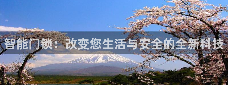 富联娱乐开户费用查询表：智能门锁：改变您生活与安全的全新科技