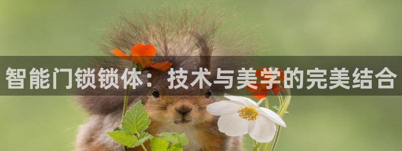 富联娱乐平台登陆：智能门锁锁体：技术与美学的完美结合