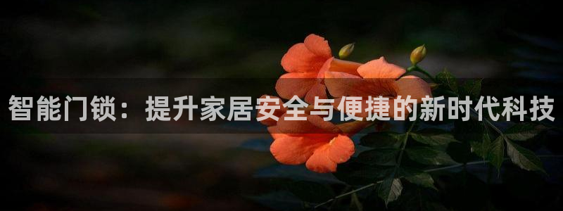 富联娱乐app更新：智能门锁：提升家居安全与便捷的新时代科技