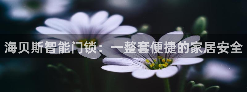 富联娱乐主管留判官333OO：海贝斯智能门锁：一整套便捷的家