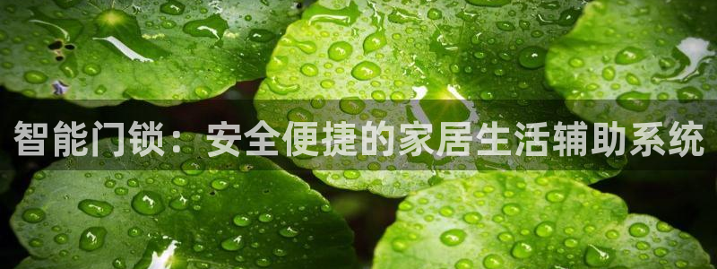 富联娱乐首页在哪找：智能门锁：安全便捷的家居生活辅助系统