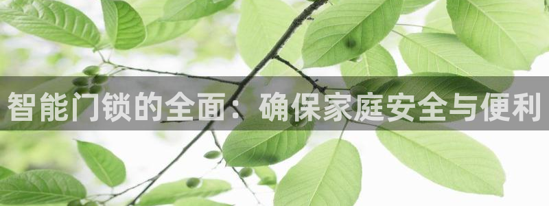 富联娱乐官方网站首页：智能门锁的全面：确保家庭安全与便利