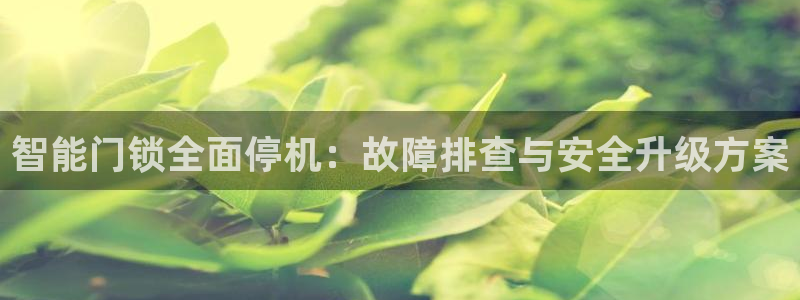 台湾富联娱乐：智能门锁全面停机：故障排查与安全升级方案