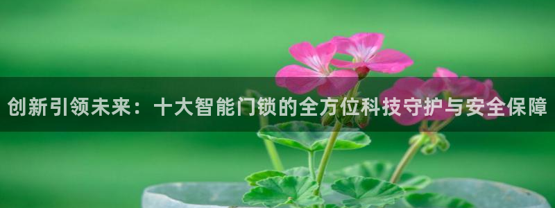 富联娱乐平台怎么样啊：创新引领未来：十大智能门锁的全方位科技