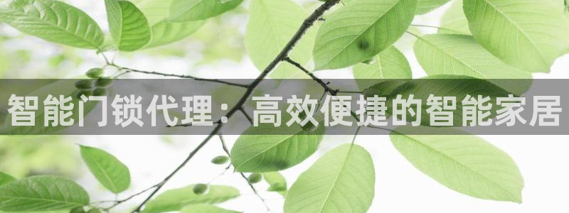 富联娱乐主管经判官333OO：智能门锁代理：高效便捷的智能家