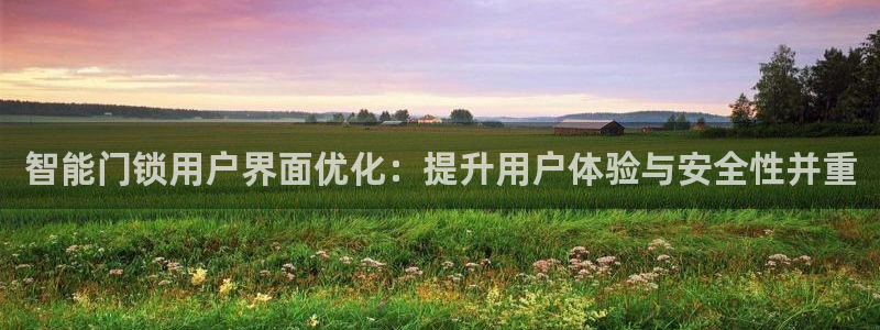 富联娱乐主管可判官333OO：智能门锁用户界面优化：提升用户