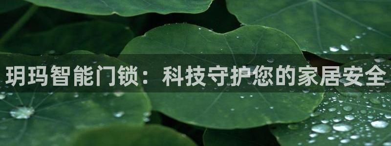 富联娱乐招商着判官333OO：玥玛智能门锁：科技守护您的家居