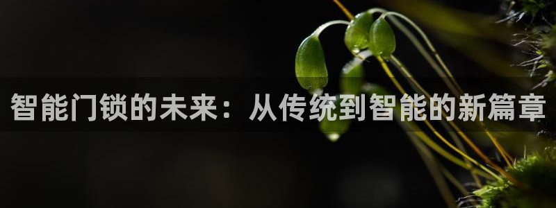 富联娱乐主管么67O77逐风：智能门锁的未来：从传统到智能的