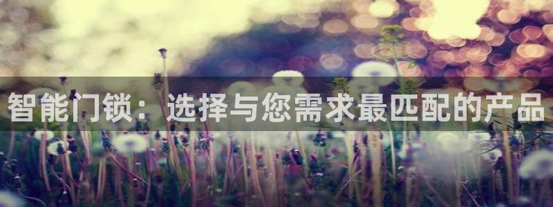 富联娱乐测速地址在哪：智能门锁：选择与您需求最匹配的产品