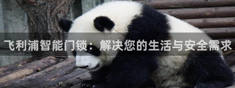 富联娱乐逐风67O77：飞利浦智能门锁：解决您的生活与安全需