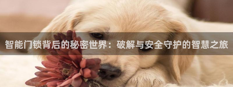 富联娱乐在线注册链接是什么网站：智能门锁背后的秘密世界：破解