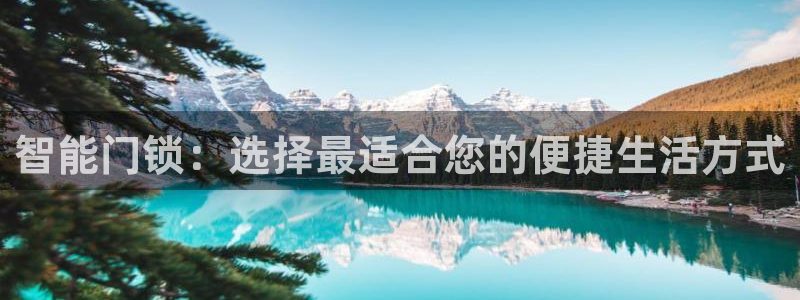 富联娱乐测速地址在哪：智能门锁：选择最适合您的便捷生活方式