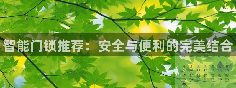 富联娱乐最稳定app：智能门锁推荐：安全与便利的完美结合