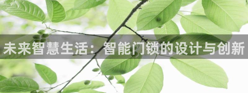 富联娱乐注册然判官333OO：未来智慧生活：智能门锁的设计与