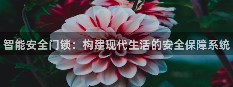 富联娱乐最新消息：智能安全门锁：构建现代生活的安全保障系统