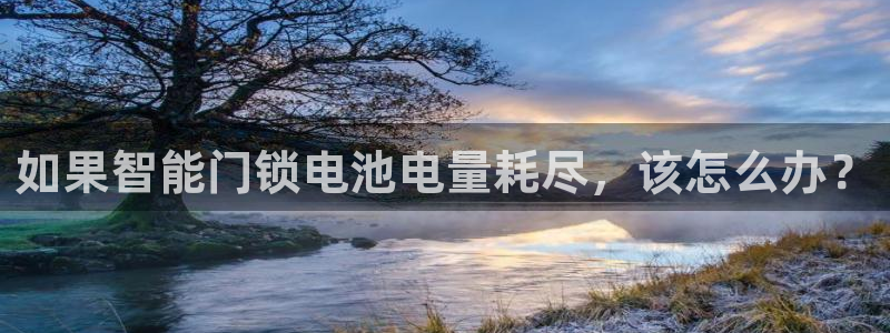 富联娱乐app官方下载苹果版：如果智能门锁电池电量耗尽，该怎