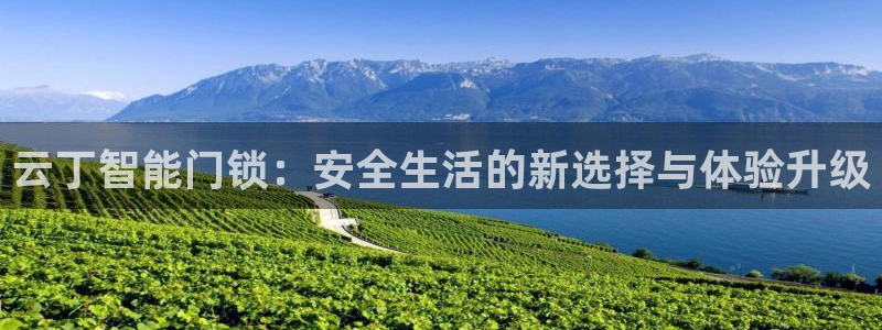 富联娱乐万67五壹叁八：云丁智能门锁：安全生活的新选择与体验