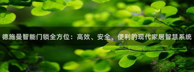 富联娱乐平台登录不了：德施曼智能门锁全方位：高效、安全、便利