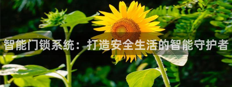富联娱乐官方app下载：智能门锁系统：打造安全生活的智能守护